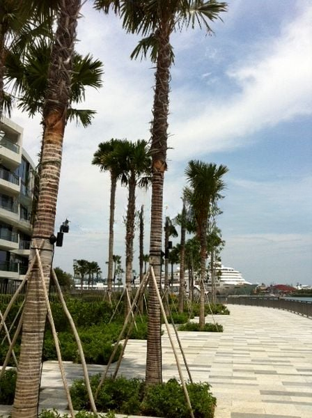 CORALS AT KEPPEL BAY 5