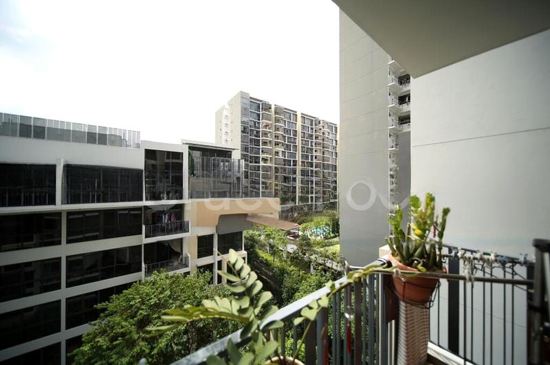 THE RAINFOREST 11