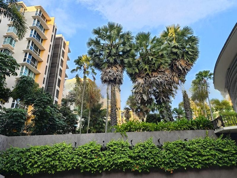 SAVANNAH CONDOPARK 10