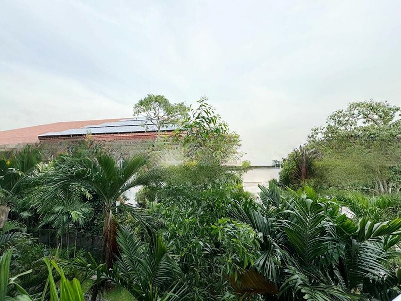 CHANGI GREEN 2