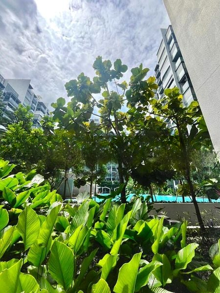 THE ALPS RESIDENCES 2
