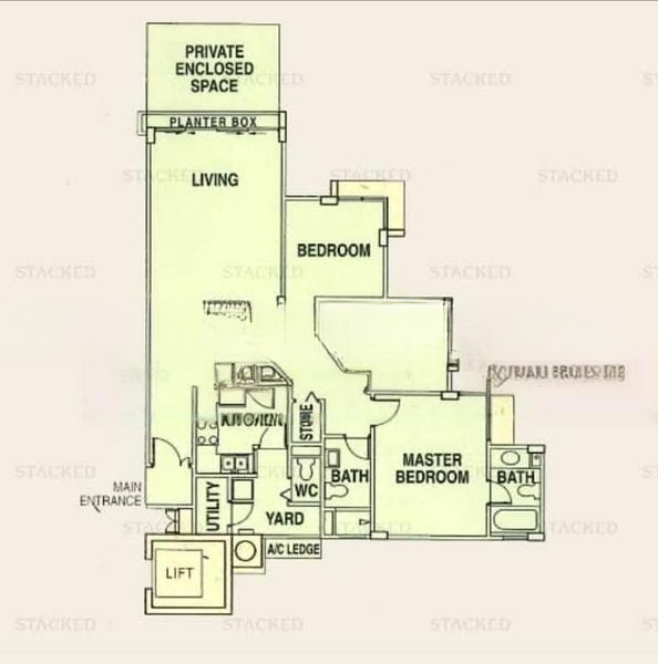 PALMWOODS 10