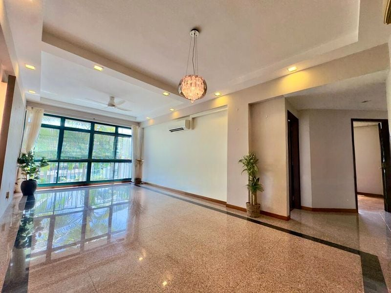 PALMWOODS 7
