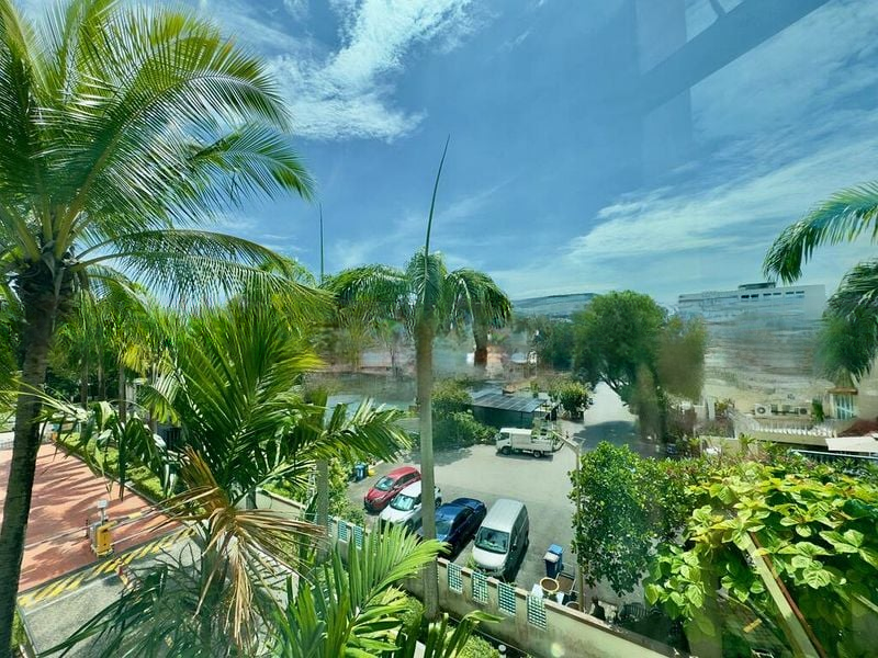 PALMWOODS 9