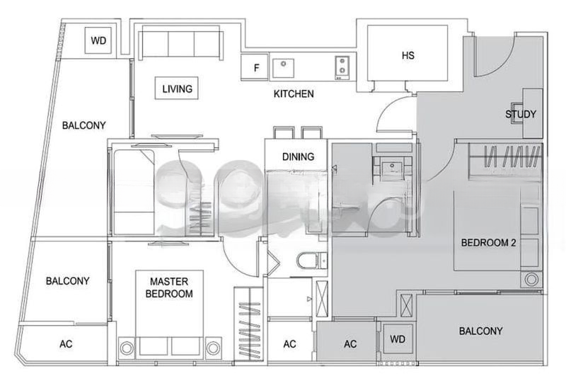 CASSIA EDGE 9