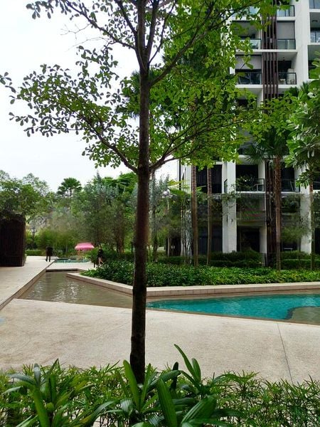BOTANIQUE AT BARTLEY 12
