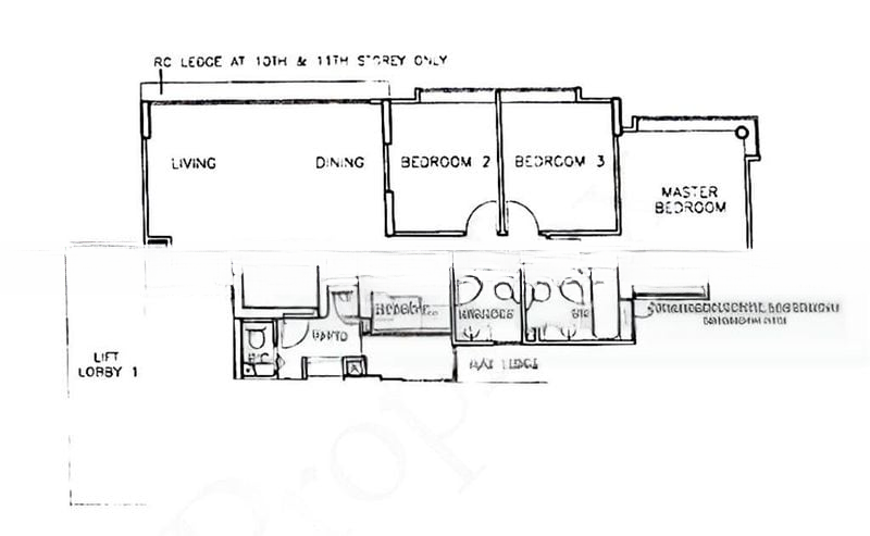 ASTOR 8