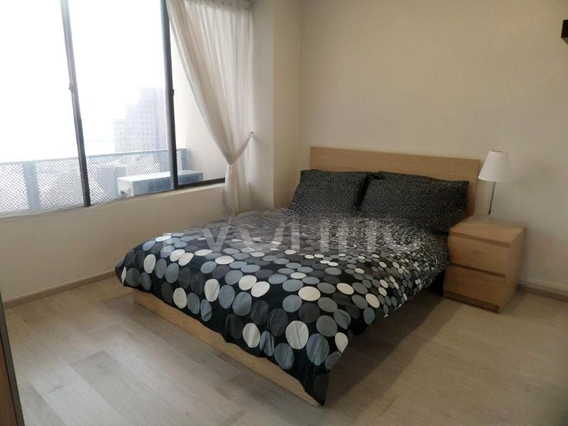 INTERNATIONAL PLAZA 13