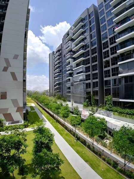 THE CRITERION 6