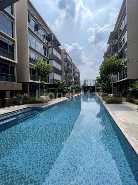 THE WATERGARDENS AT CANBERRA 7