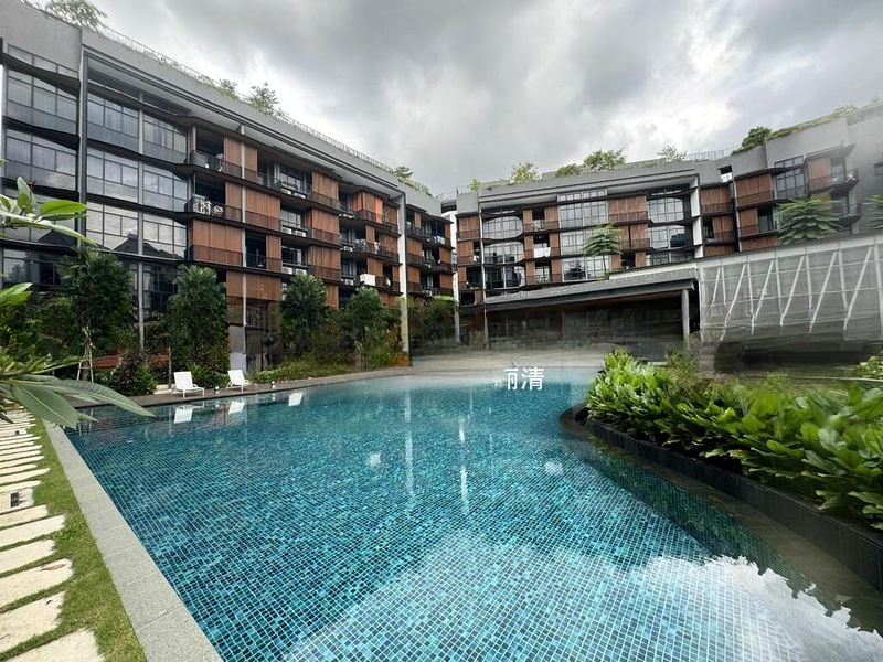 DAINTREE RESIDENCE 10