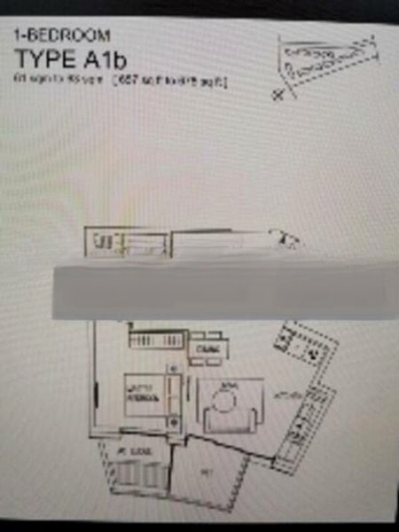 CORALS AT KEPPEL BAY 12