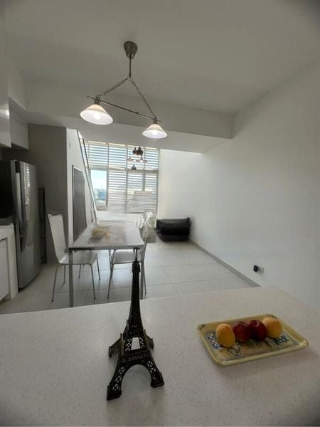 THE ROCHESTER RESIDENCES 10