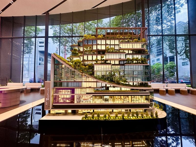 THE COLLECTIVE AT ONE SOPHIA 6