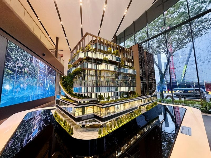 THE COLLECTIVE AT ONE SOPHIA 2