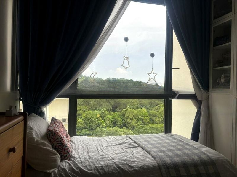 THE SKYWOODS 3