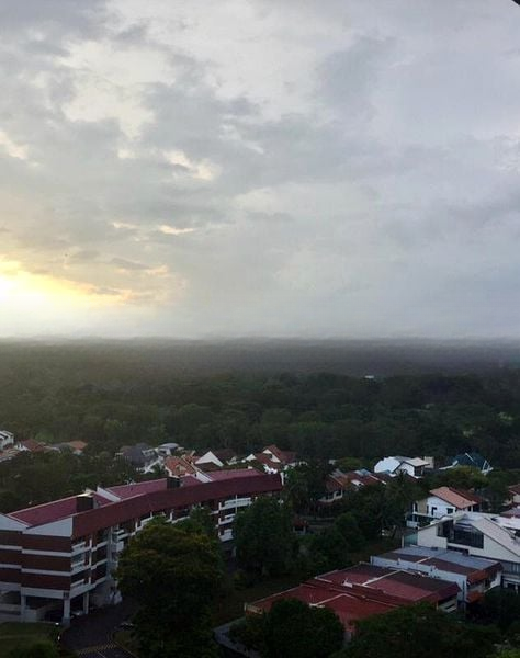 THE GARDENS AT BISHAN 2