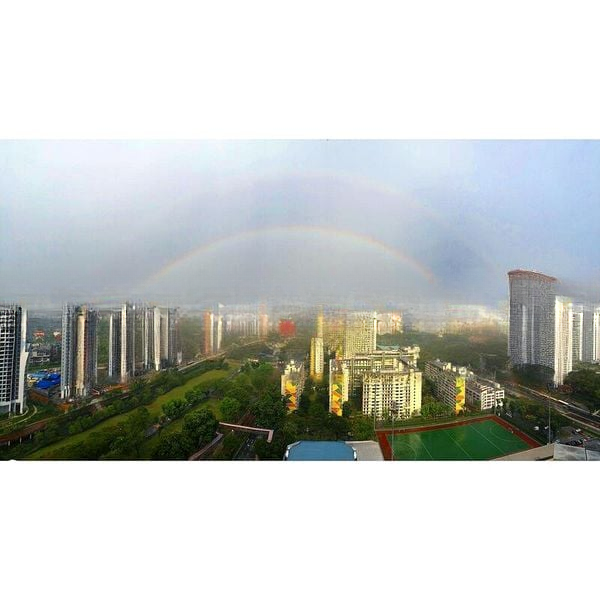 ALEX RESIDENCES 8