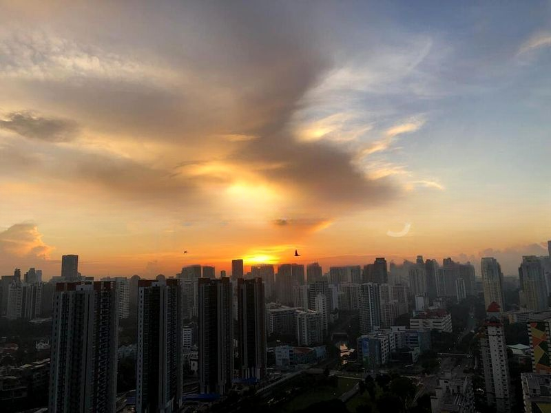 ALEX RESIDENCES 9