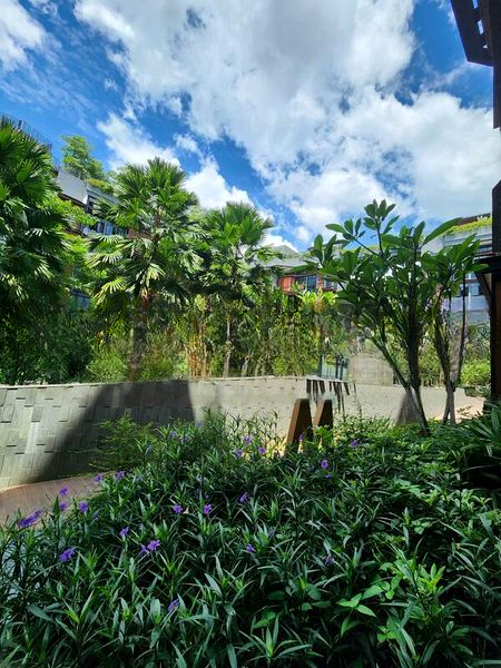 DAINTREE RESIDENCE 7