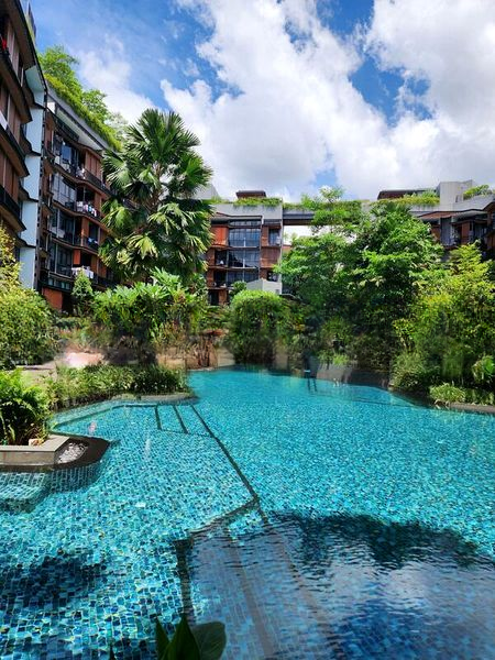 DAINTREE RESIDENCE 6