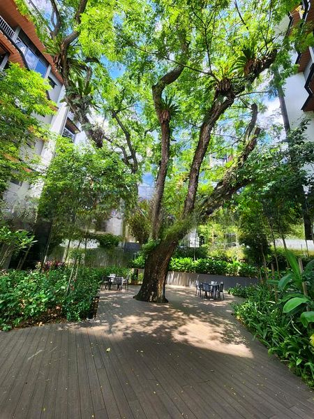 DAINTREE RESIDENCE 5