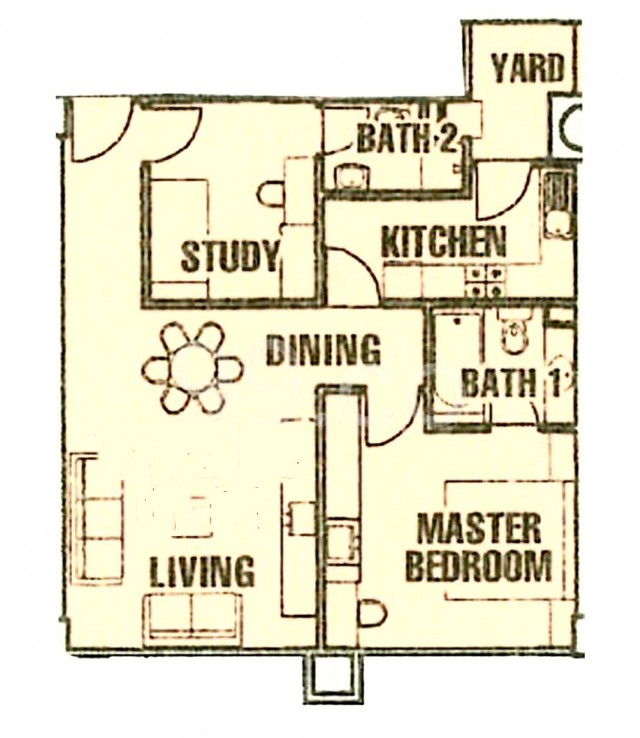 THE DAFFODIL 8