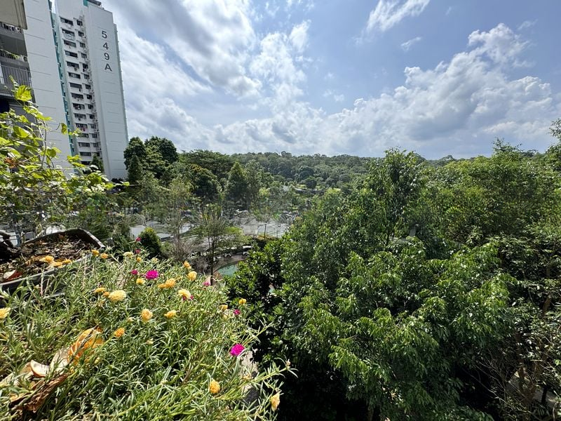 BLOSSOM RESIDENCES 10