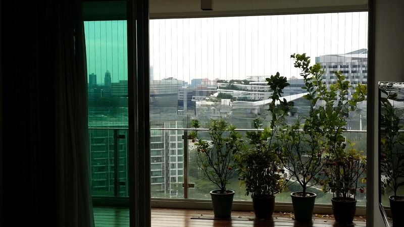 THE ROCHESTER RESIDENCES 4