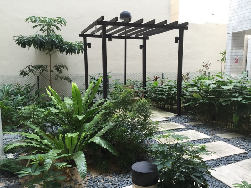 PALM LODGE 16