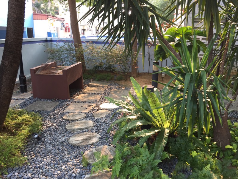 PALM LODGE 19