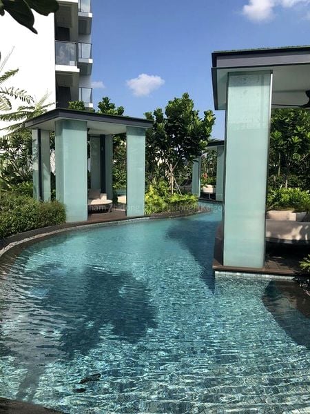 THE CLEMENT CANOPY 12