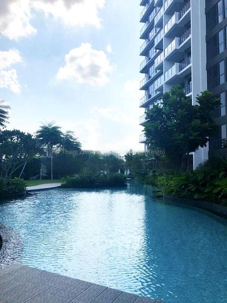 THE CLEMENT CANOPY 13