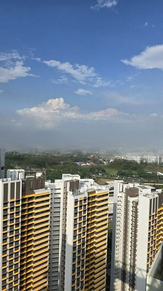 SKY HABITAT 2