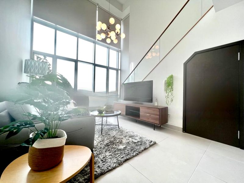 THE ROCHESTER RESIDENCES 2