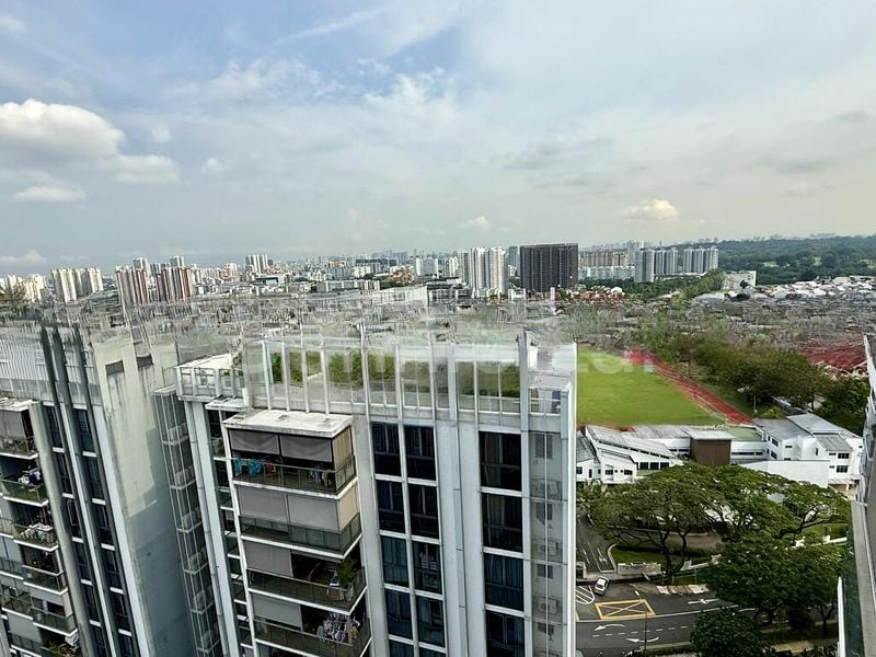 THE PANORAMA 1