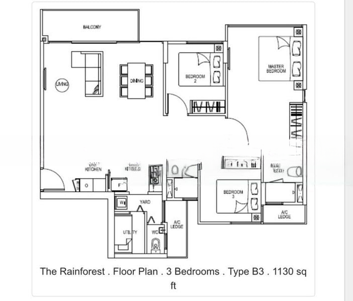 THE RAINFOREST 6