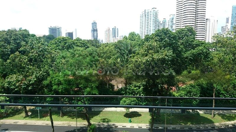 THREE BALMORAL 6