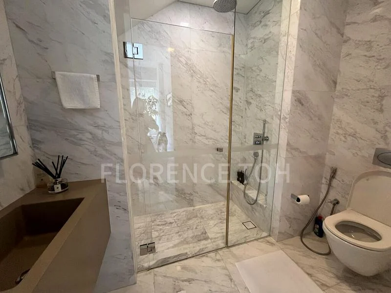 THE HOLLAND COLLECTION 11