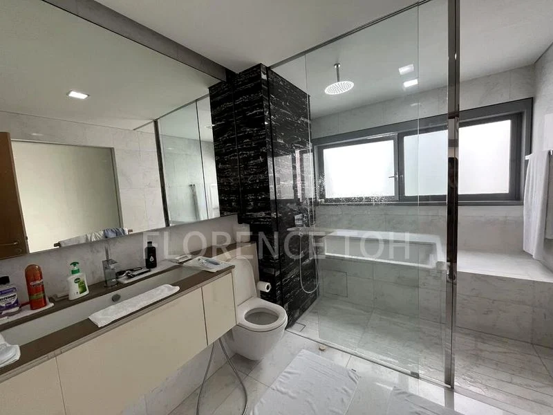 THE HOLLAND COLLECTION 13