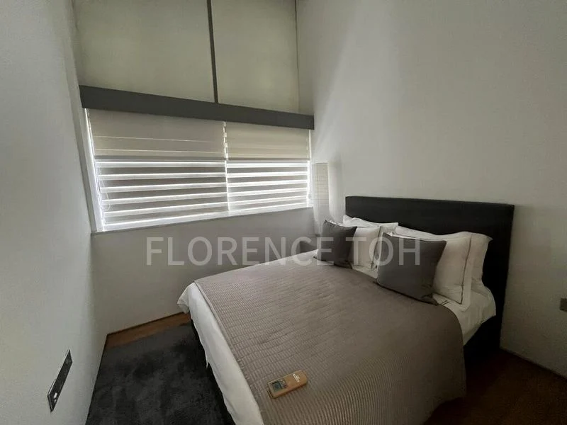 THE HOLLAND COLLECTION 15