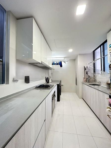 THE LUXURIE 1