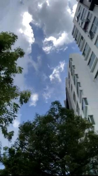 GARDENVISTA 6