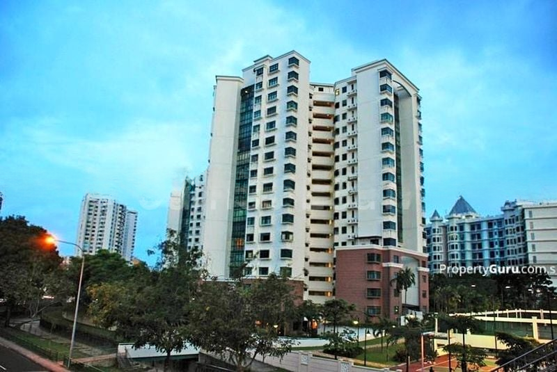 THE SPRINGBLOOM 9