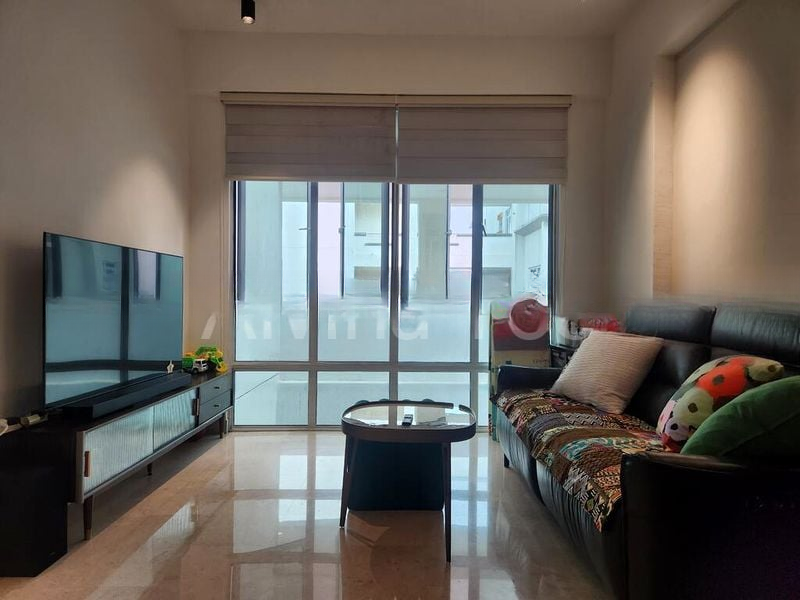 SUNNY PALMS 6