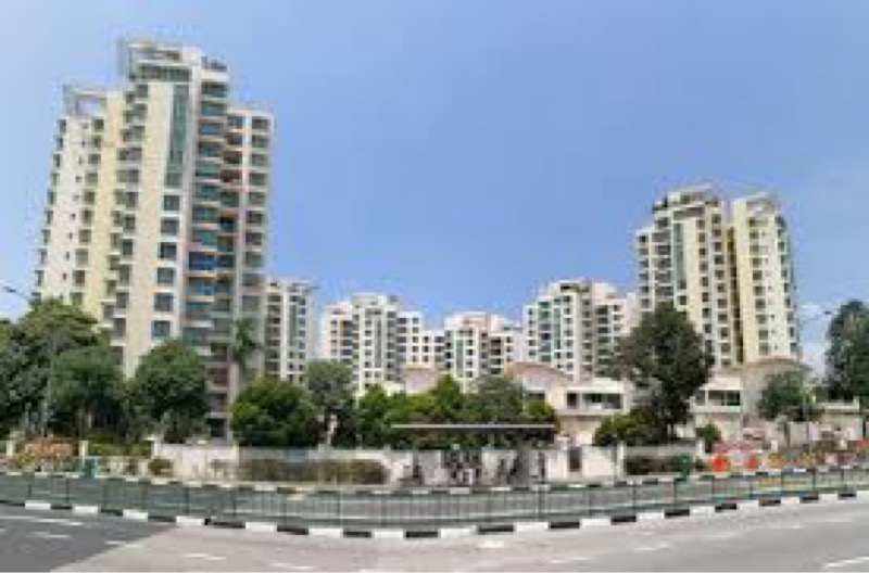 THE CLEARWATER 7