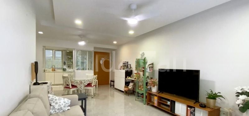 BLOSSOMS @ WOODLEIGH 2