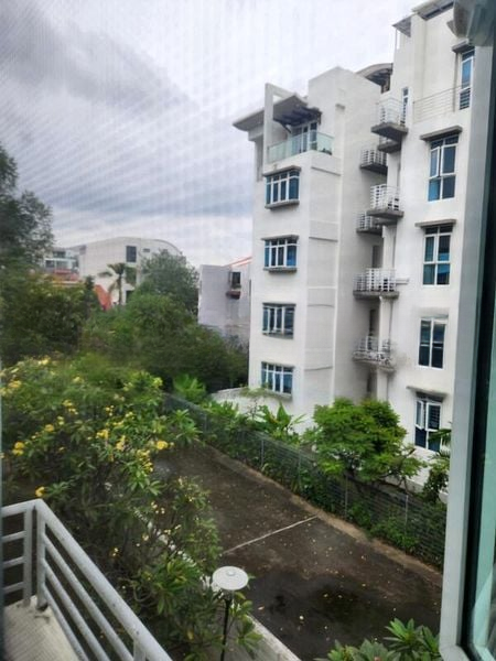 SUNNY PALMS 4