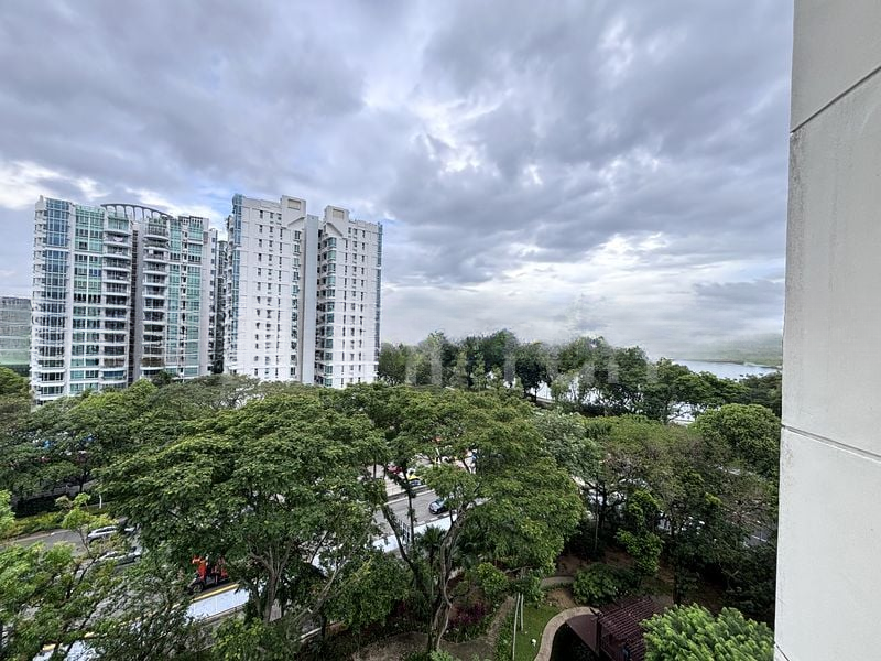 THE CLEARWATER 1