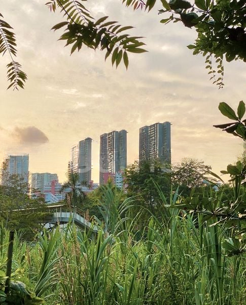 STIRLING RESIDENCES 2